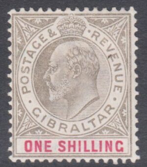 GIBH030443 51 1