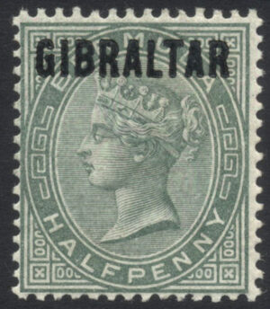 GIBZ023344 1 1